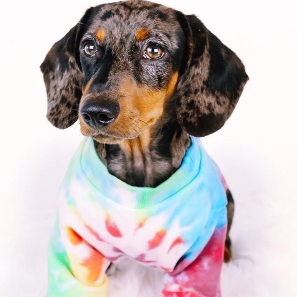 LoveThyBeast Brand 𝅺Tie-Dye Multicolor Dog Sweatshirt W/Short Sleeves - Picture 4 of 9